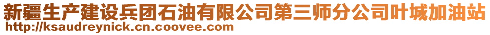 新疆生產(chǎn)建設(shè)兵團(tuán)石油有限公司第三師分公司葉城加油站