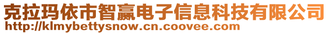 克拉瑪依市智贏電子信息科技有限公司