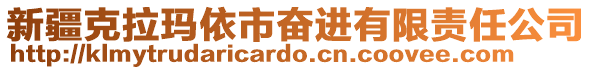 新疆克拉瑪依市奮進(jìn)有限責(zé)任公司