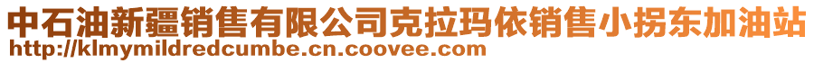 中石油新疆銷售有限公司克拉瑪依銷售小拐東加油站