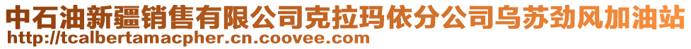 中石油新疆銷售有限公司克拉瑪依分公司烏蘇勁風加油站