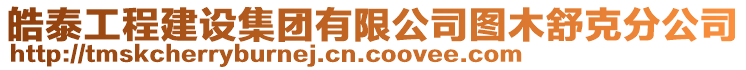 皓泰工程建設(shè)集團(tuán)有限公司圖木舒克分公司