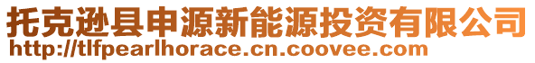 托克遜縣申源新能源投資有限公司