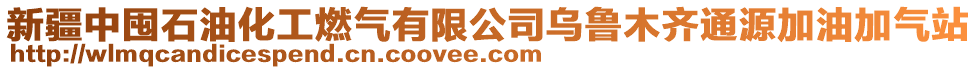 新疆中囤石油化工燃?xì)庥邢薰緸豸斈君R通源加油加氣站