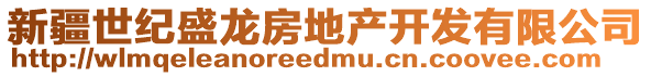 新疆世紀(jì)盛龍房地產(chǎn)開發(fā)有限公司