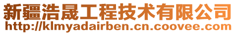 新疆浩晟工程技術(shù)有限公司