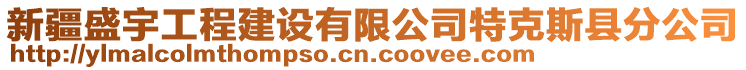 新疆盛宇工程建設(shè)有限公司特克斯縣分公司