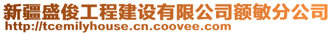 新疆盛俊工程建設(shè)有限公司額敏分公司