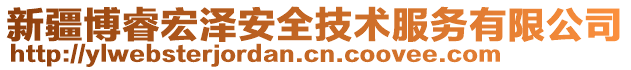 新疆博睿宏澤安全技術(shù)服務(wù)有限公司