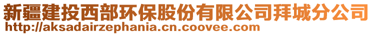 新疆建投西部環(huán)保股份有限公司拜城分公司