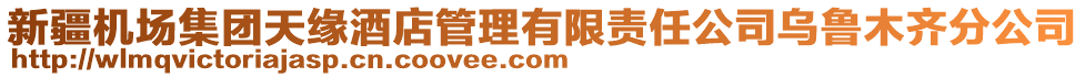 新疆機(jī)場(chǎng)集團(tuán)天緣酒店管理有限責(zé)任公司烏魯木齊分公司