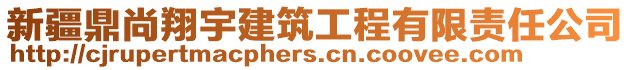 新疆鼎尚翔宇建筑工程有限責(zé)任公司