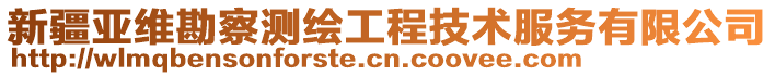 新疆亞維勘察測繪工程技術服務有限公司