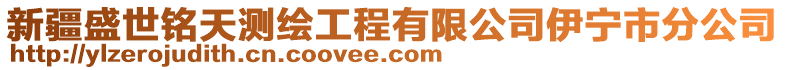 新疆盛世銘天測繪工程有限公司伊寧市分公司