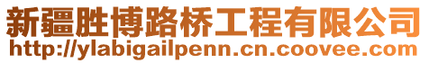 新疆勝博路橋工程有限公司