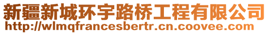 新疆新城環(huán)宇路橋工程有限公司