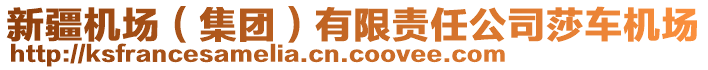 新疆機場（集團）有限責任公司莎車機場