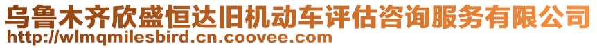 烏魯木齊欣盛恒達(dá)舊機(jī)動(dòng)車評(píng)估咨詢服務(wù)有限公司