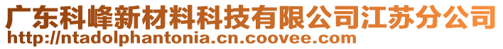 广东科峰新材料科技有限公司江苏分公司