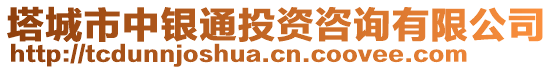 塔城市中銀通投資咨詢有限公司