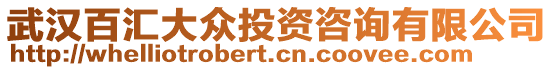 武漢百匯大眾投資咨詢有限公司