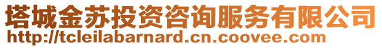 塔城金苏投资咨询服务有限公司