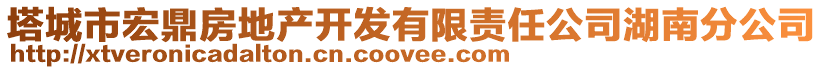 塔城市宏鼎房地產(chǎn)開(kāi)發(fā)有限責(zé)任公司湖南分公司