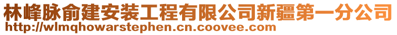 林峰脈俞建安裝工程有限公司新疆第一分公司