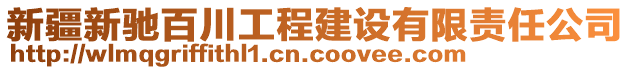 新疆新驰百川工程建设有限责任公司