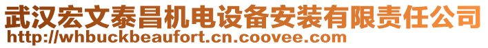 武漢宏文泰昌機(jī)電設(shè)備安裝有限責(zé)任公司