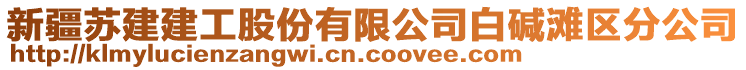 新疆蘇建建工股份有限公司白堿灘區(qū)分公司