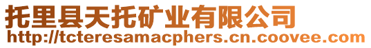 托里縣天托礦業(yè)有限公司