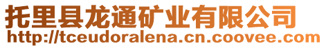 托里縣龍通礦業(yè)有限公司