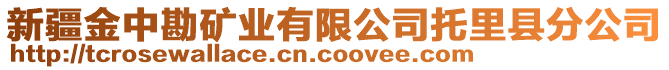 新疆金中勘礦業(yè)有限公司托里縣分公司