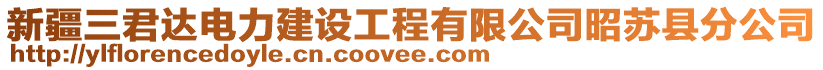 新疆三君達電力建設工程有限公司昭蘇縣分公司