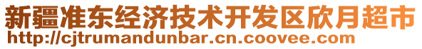 新疆準東經(jīng)濟技術(shù)開發(fā)區(qū)欣月超市