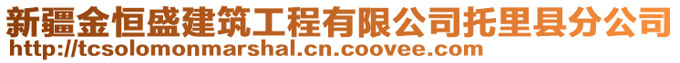 新疆金恒盛建筑工程有限公司托里縣分公司