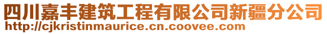 四川嘉豐建筑工程有限公司新疆分公司