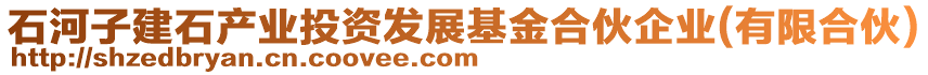 石河子建石產(chǎn)業(yè)投資發(fā)展基金合伙企業(yè)(有限合伙)