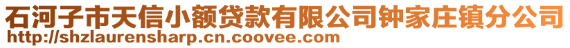 石河子市天信小額貸款有限公司鐘家莊鎮(zhèn)分公司