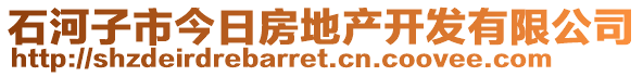 石河子市今日房地產(chǎn)開發(fā)有限公司