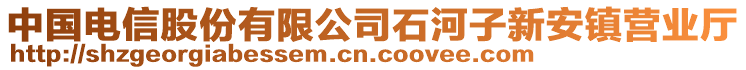 中國電信股份有限公司石河子新安鎮(zhèn)營業(yè)廳