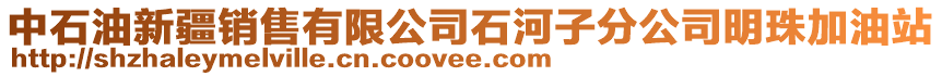 中石油新疆銷售有限公司石河子分公司明珠加油站