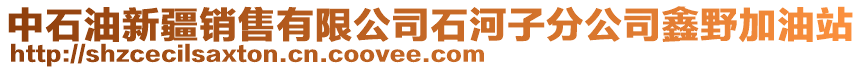 中石油新疆銷售有限公司石河子分公司鑫野加油站