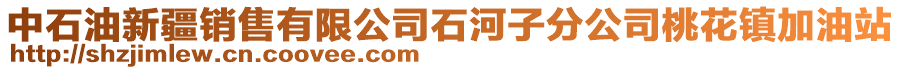 中石油新疆銷售有限公司石河子分公司桃花鎮(zhèn)加油站