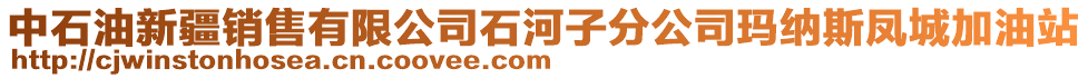 中石油新疆銷售有限公司石河子分公司瑪納斯鳳城加油站