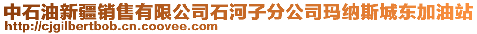 中石油新疆銷售有限公司石河子分公司瑪納斯城東加油站