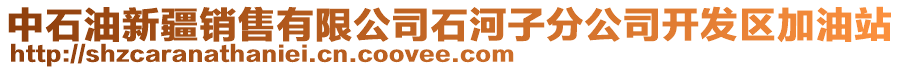 中石油新疆銷售有限公司石河子分公司開發區加油站