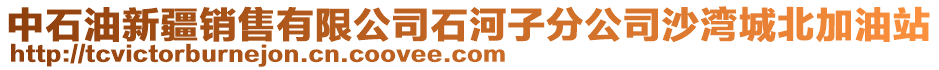 中石油新疆銷售有限公司石河子分公司沙灣城北加油站