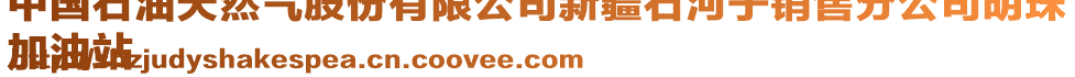 中國石油天然氣股份有限公司新疆石河子銷售分公司明珠
加油站